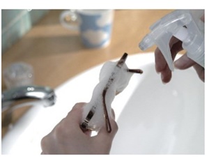 メガネクリーナーイメージ画像